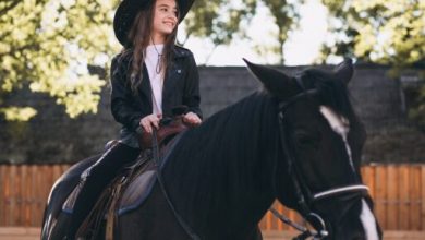 caring-for-your-saddle:-tips-to-extend-the-life-of-your-investment