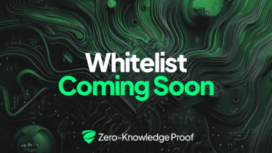 the-institutional-blindspot:-zero-knowledge-proof-will-be-the-asset-they-all-missed-first