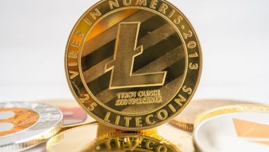 lite-strategy-reports-first-quarter-fiscal-year-2026-results;-highlights-successful-launch-of-$100m-litecoin-treasury-strategy-and-movement-into-active-capital-market-operations